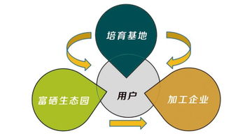 富硒食品連鎖新零售 互聯(lián)網(wǎng)分享經(jīng)濟思維驅動產(chǎn)業(yè)變革